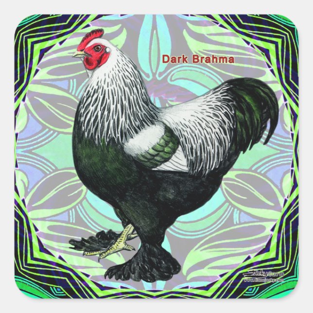 Brahma: Fancy Dark Rooster Quadratischer Aufkleber (Vorderseite)