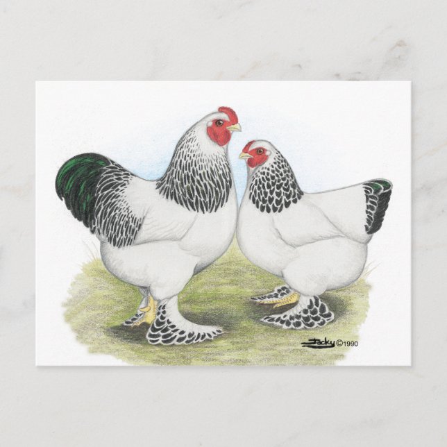 Brahma: Licht 2 Postkarte (Vorderseite)