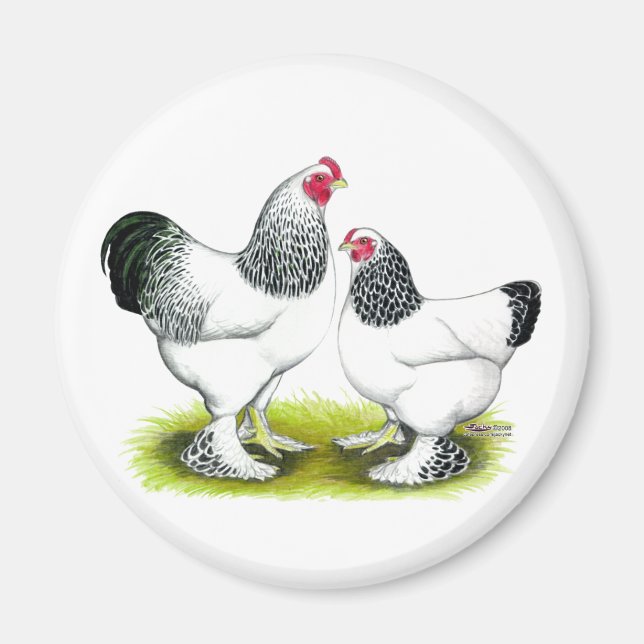 Brahma: Licht Magnet (Vorne)