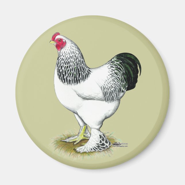 Brahma: Light Rooster Magnet (Vorne)