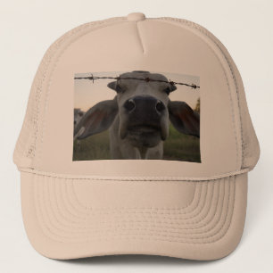 BRAHMAN BULL IN LÄNDLICHEM AUSTRALIEN TRUCKERKAPPE