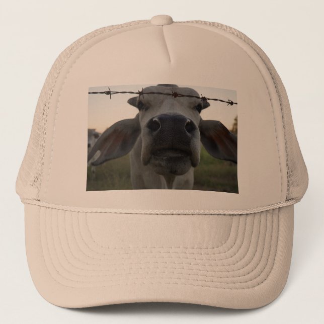 BRAHMAN BULL IN LÄNDLICHEM AUSTRALIEN TRUCKERKAPPE (Vorderseite)