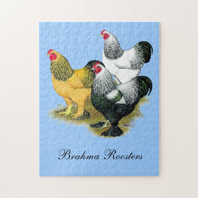 Brahmas Three Roosters (Vertikal)