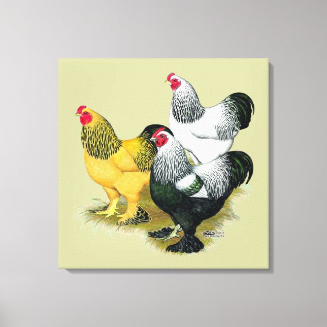 Brahmas Three Roosters Leinwanddruck (Vorderseite)
