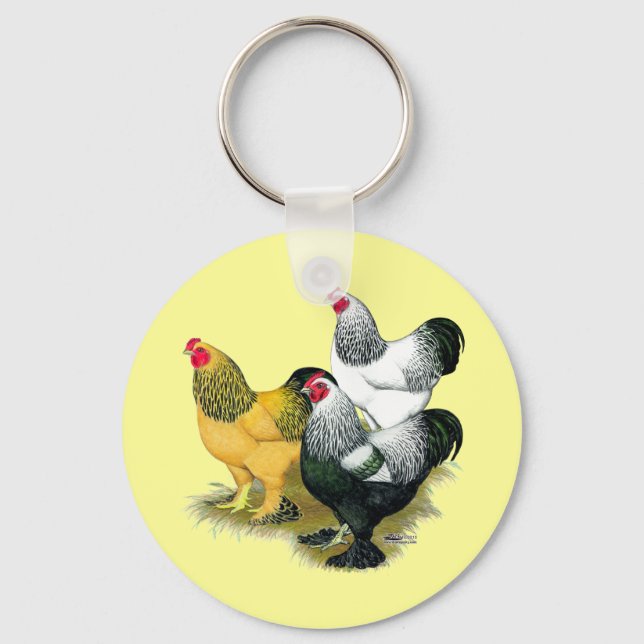 Brahmas Three Roosters Schlüsselanhänger (Vorderseite)