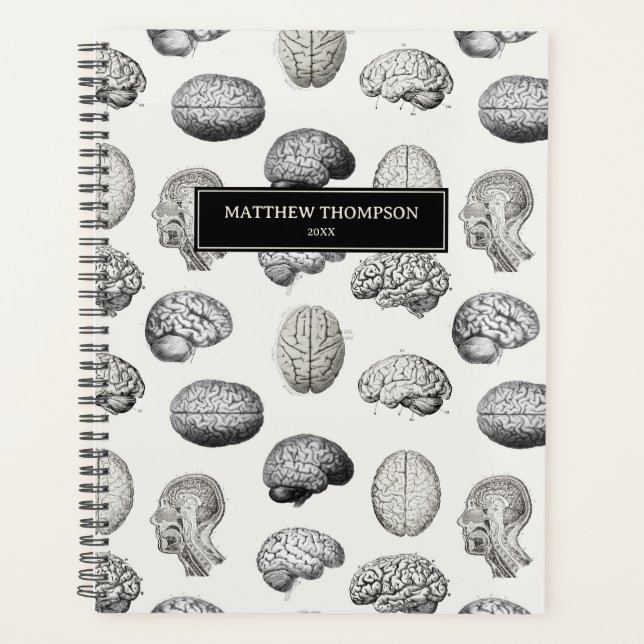 Brain Anatomy Biology Antique Illustrations Planer (Vorderseite)