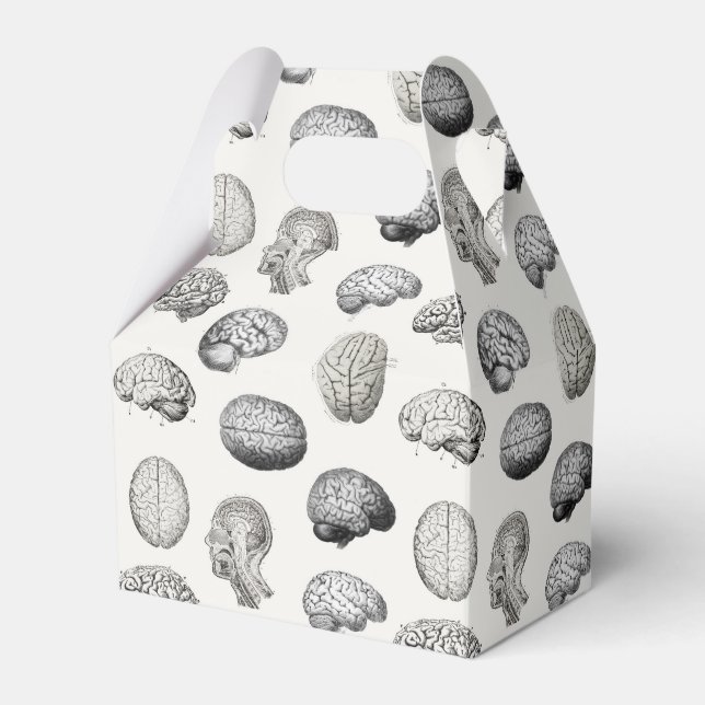 Brain Anatomy Biology Illustrations Geschenkschachtel (Vorderseite)