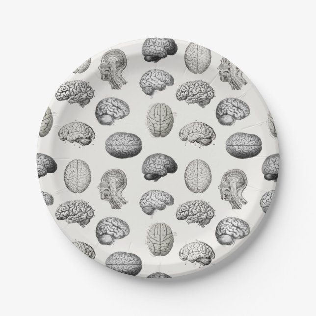Brain Anatomy Biology Illustrations Pappteller (Vorderseite)
