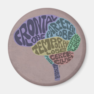 Brain Magnet