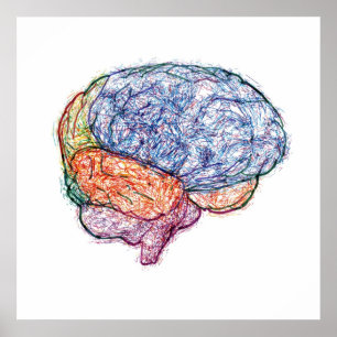 Brain Poster