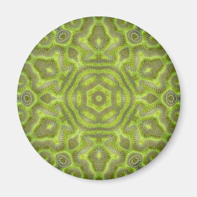 Brain Star Trilobite Magnet (Vorne)