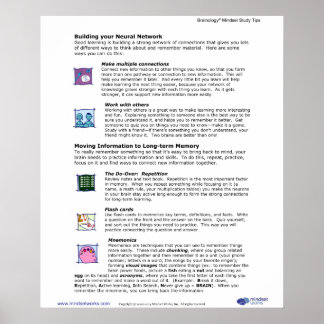 Brainology® Poster 6: Gebäude Ihres neuronalen Net