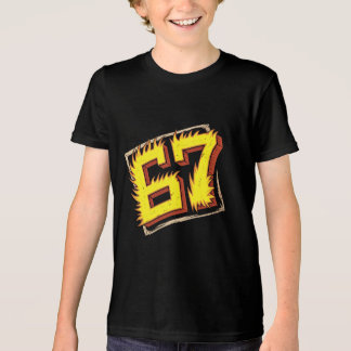Brainrot 67: Nummer in Flammen Tri-Blend Shirt