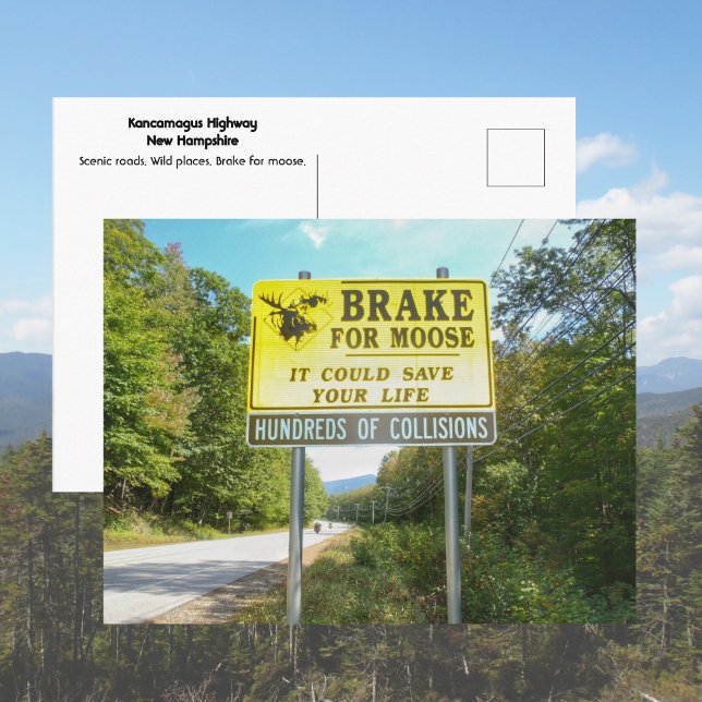 Brake for Moose Kancamagus Highway New Hampshire Postkarte (Von Creator hochgeladen)