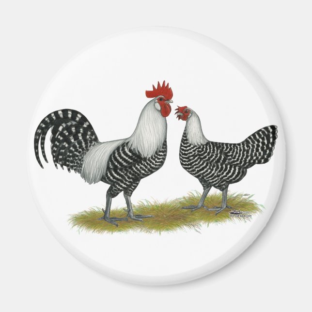 Brakel Chickens Magnet (Vorne)