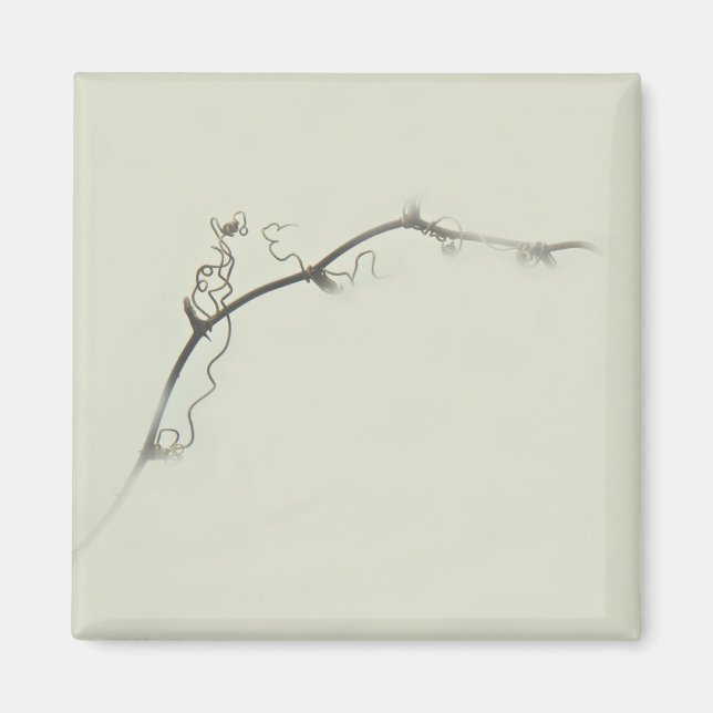Bramble Tendrils im Nebel - Minimalismus Magnet (Vorne)
