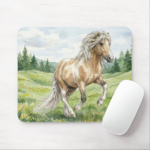 Brana Pinto Palomino Icelandic Watercolor