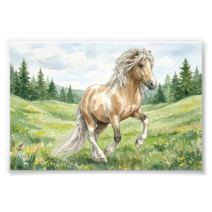 Brana Pinto Palomino Isländische Aquarellmalerei Fotodruck