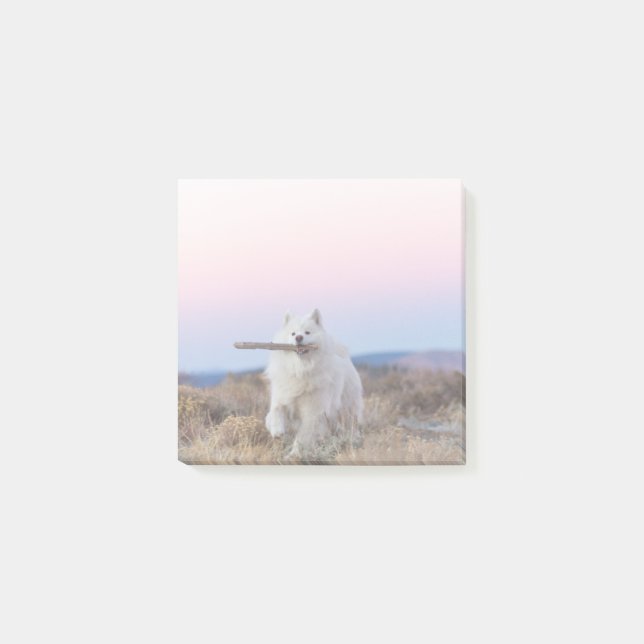 Branch Manager - 3"x3" Post-it-Notizen Post-it Klebezettel (Vorderseite)