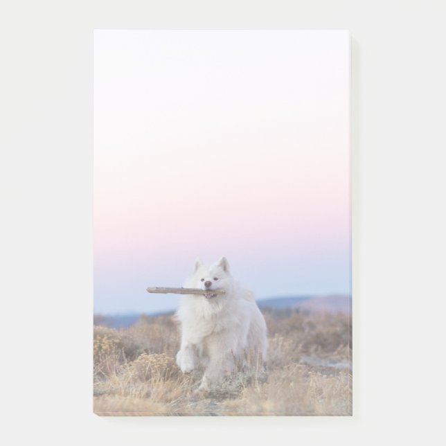 Branch Manager 4"x6" Post-it-Notizen Post-it Klebezettel (Vorderseite)