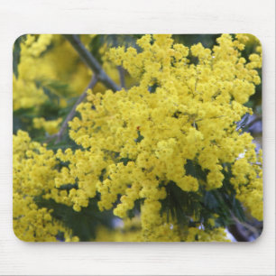 Branch of mimosa mousepad