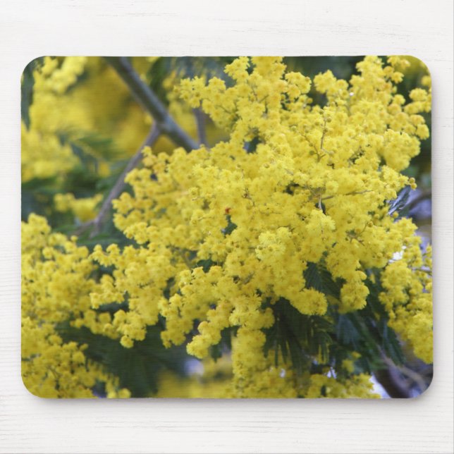 Branch of mimosa mousepad (Vorne)