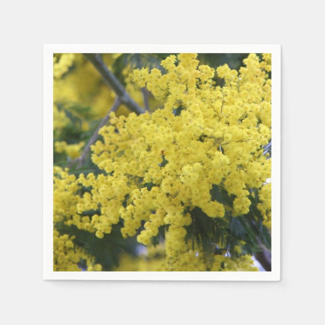 Branch of mimosa serviette (Vorderseite)