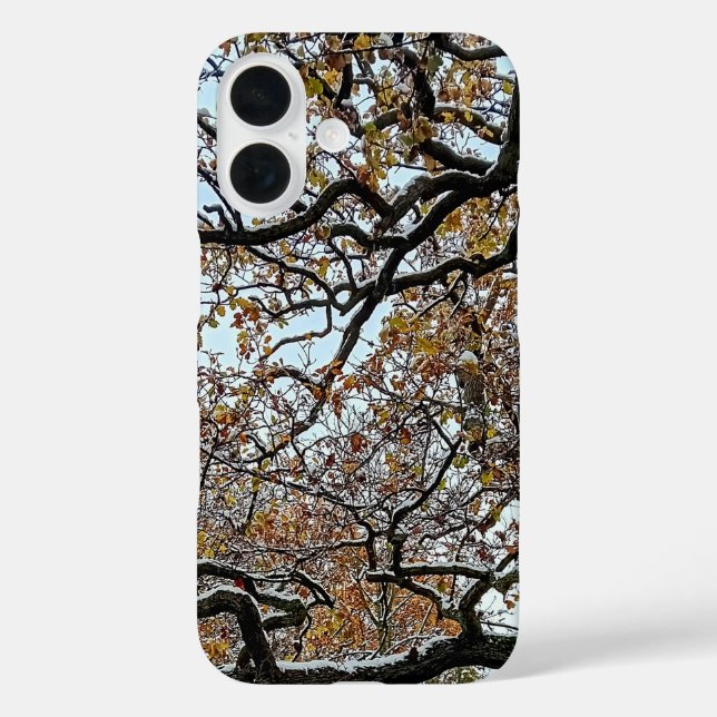 Branchen mit orangefarbenen Blätter und Schnee iPhone 16 Hülle (Rückseite)