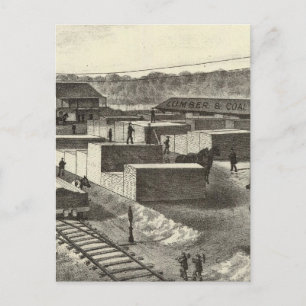 Branchenhof, Princeton Lumber & Improvement Co. Postkarte