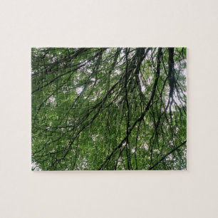 Branches et Puzzle Feuille