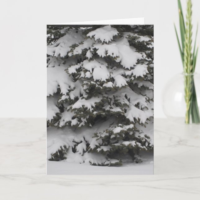 Branches neigeuses Pliées Carte de vacances (Devant)
