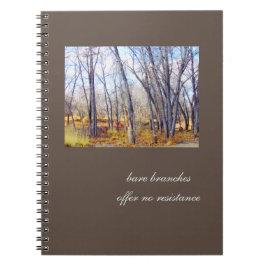 Branches nues, aucun journal de résistance