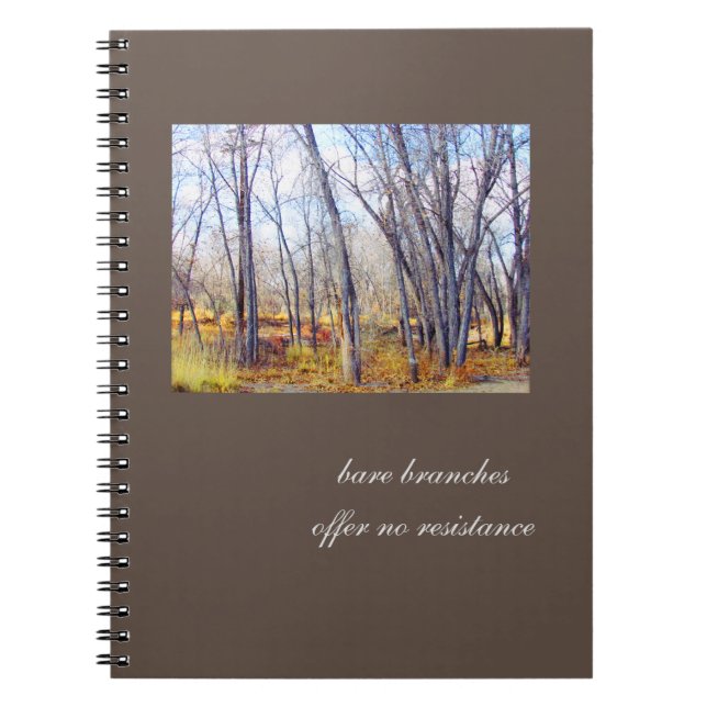 Branches nues, aucun journal de résistance (Devant)