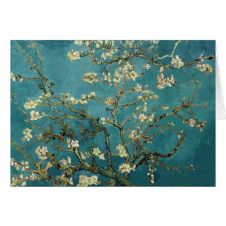 Branches Van Gogh Almond en Bloom