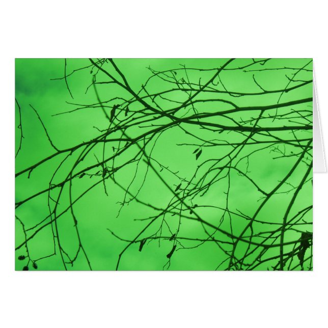 Branches Vertes (Devant horizontal)