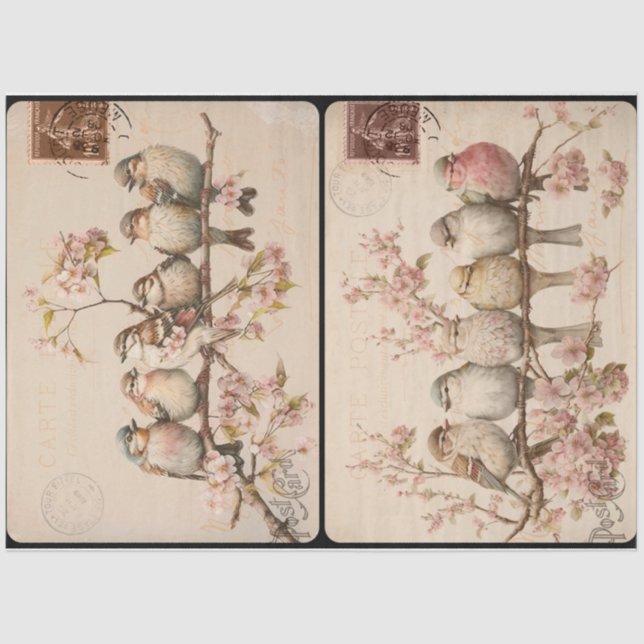 Branchy Birds Seidenpapier (Vorderseite)