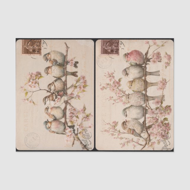 Branchy Birds Tissue Paper Seidenpapier (Vorderseite)
