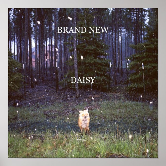 Brand New Daisy Poster (Vorne)
