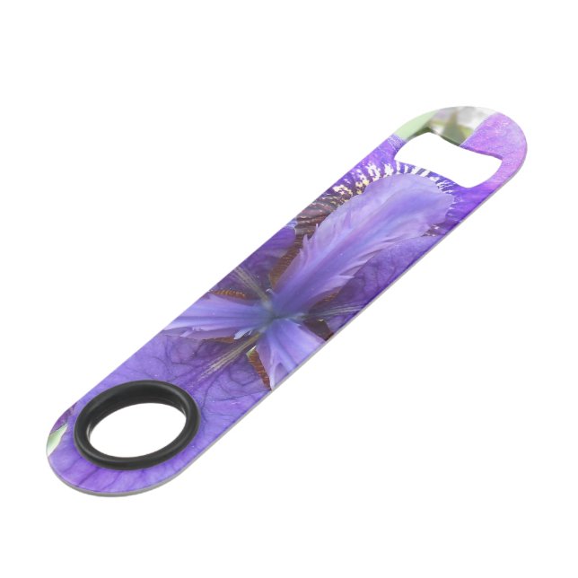 Brandeis (Devant angulaire)