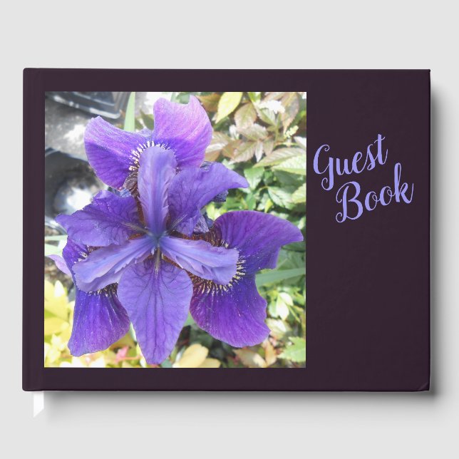 Brandeis Gästebuch (Vorderseite)