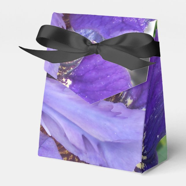 Brandeis Geschenkschachtel (Vorderseite)