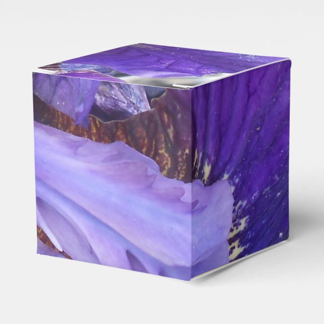 Brandeis Geschenkschachtel (Vorderseite)