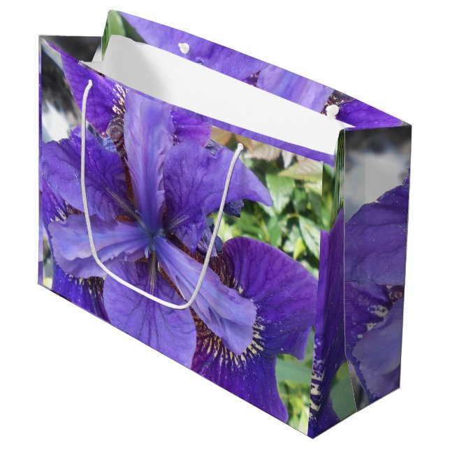 Brandeis Große Geschenktüte (Vorderseite Schrägansicht)