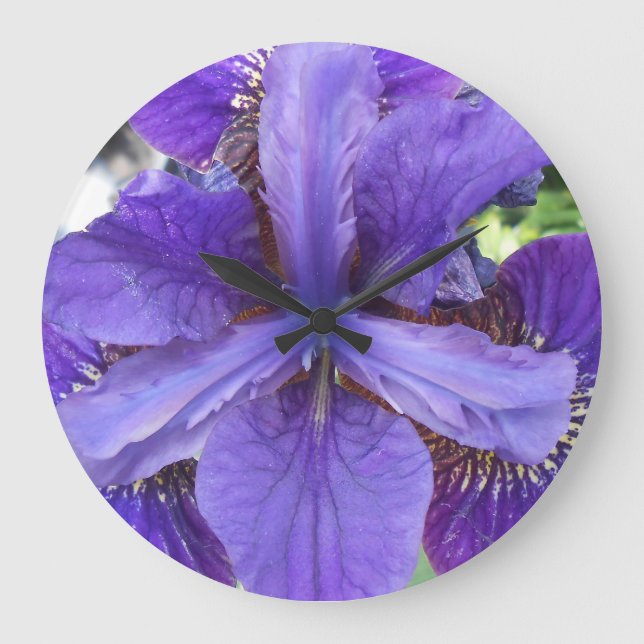 Brandeis Große Wanduhr (Vorderseite)