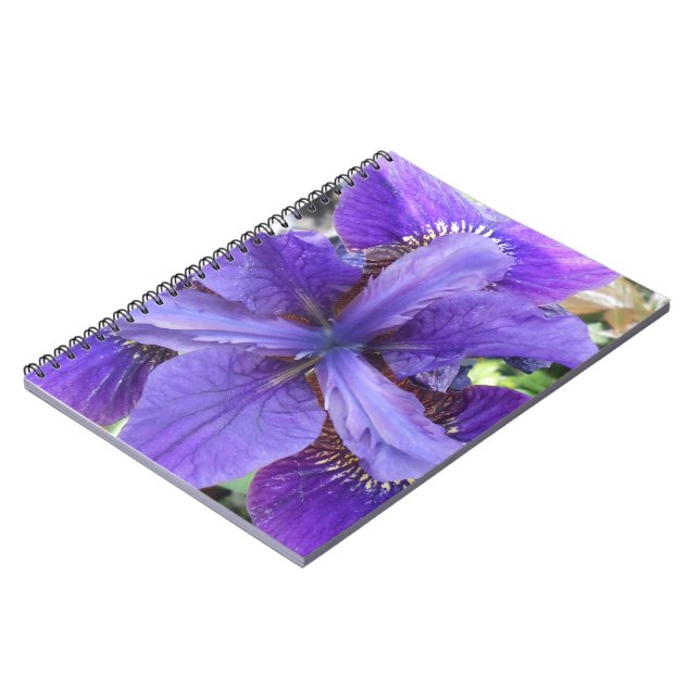 Brandeis Notizblock (Linke Seite)