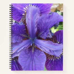 Brandeis Notizbuch