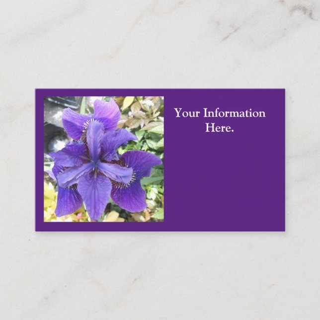 Brandeis Visitenkarte (Vorderseite)