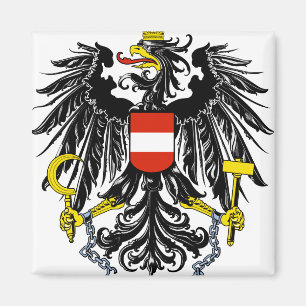Brandzeichen Magnet