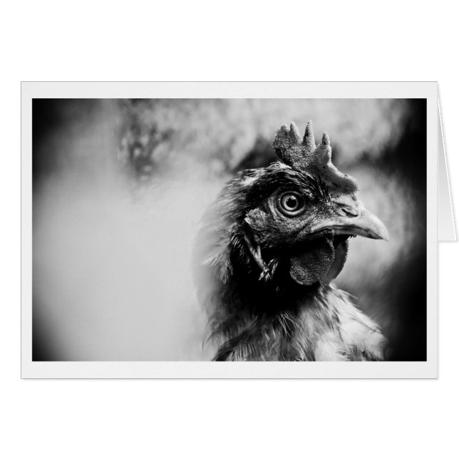 Branntwein und Hühner 2 (Vorderseite (Horizontal))