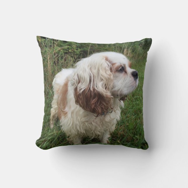 Branson-Kissen Kissen (Vorderseite)